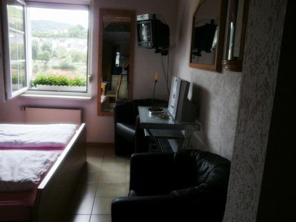 Mosel Panorama Apartment Zell an der Mosel Ruang foto