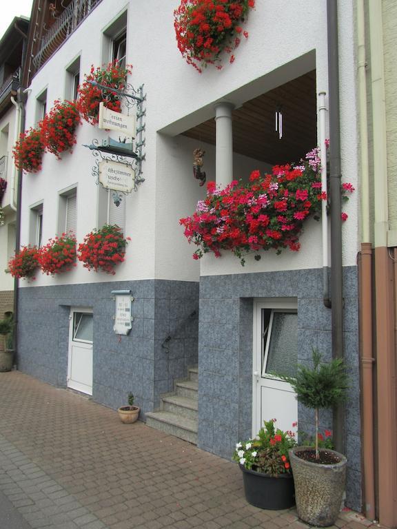 Mosel Panorama Apartment Zell an der Mosel Bagian luar foto