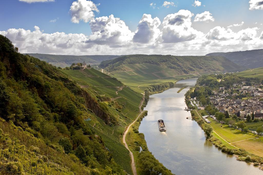 Mosel Panorama Apartment Zell an der Mosel Bagian luar foto