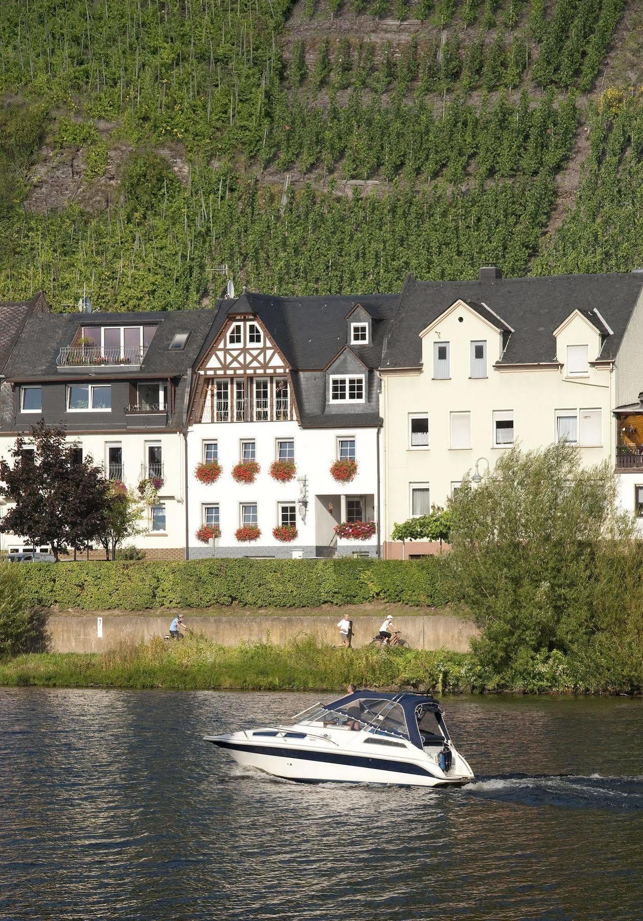 Mosel Panorama Apartment Zell an der Mosel Bagian luar foto