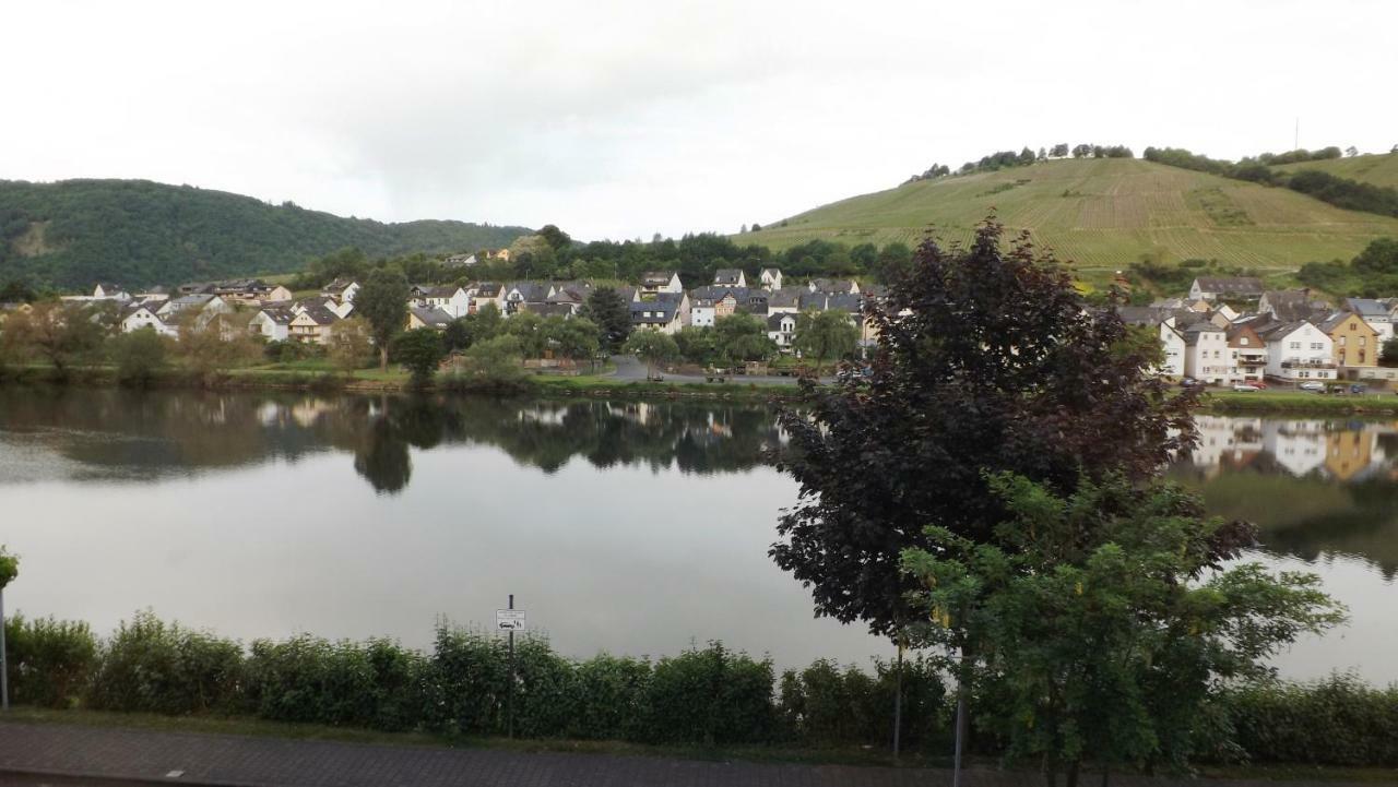 Mosel Panorama Apartment Zell an der Mosel Bagian luar foto